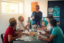Private visit and tasting - 1 day - Chinon (37)