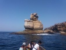 Rota dos Golfinhos em Peniche
