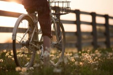 Tour in E-Bike per 2 all'interno dell'Ecoparco in Sardegna
