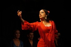 Cena y Flamenco en Madrid