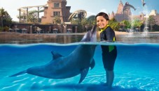 Play With Dolphins (Shallow Water)