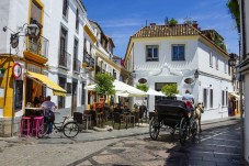 Barcelona half-day highlights tour