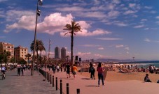 Barcelona half-day highlights tour