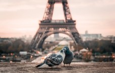 Private tour of Montmartre and Sacre Coeur
