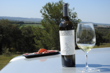 Almoço Vínico e Visita à Adega na Herdade de Coelheiros p/2