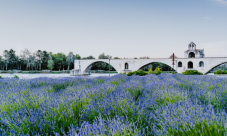 Walking tour of Avignon and Popes' Palace
