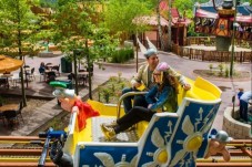 Parc Astérix : Billet Primeur - Oise (60)