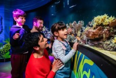London SEA LIFE Entry Ticket