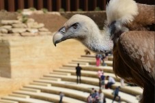 Visite du Bioparc - 2 Billets Enfant - (3-10ans)