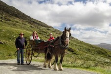 Killarney Jaunting Car Tour to Ross Castle (4 Adults)