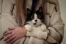 Pet Photoshoot Experience