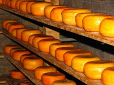 Artisan Cheese Making Class