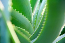 3 Day Ecomagic Jungle Tour in Peru