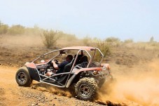 Premium desert safari with dinner and entertainment