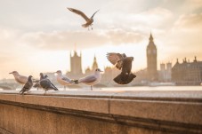Tour in taxi per Londra Jack lo squartatore