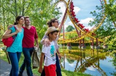 Parc Astérix : Billet Primeur - Oise (60)