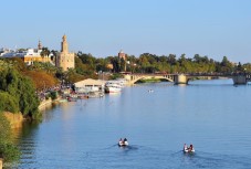 Seville cathedral and Giralda tower guided tour