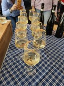 Esperienza tra Natura, Caccia al Tartufo e Degustazione di Vini: Tour Guidato di 3 Ore e Mezza