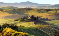 Alla scoperta di siena e cena nel Chianti.