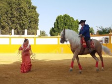 Jerez and Cadiz guided tour from Seville with wine tasting