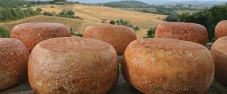 Chianti Tour da Firenze