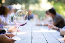 Cata de Vinos Premium con Visita a Bodega y Table de Quesos - 2 personas