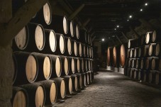 Historical Guided Tour TT in Lamego for Two
