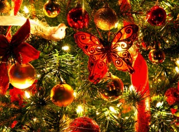 Exclusieve kerstcadeaus!