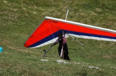 Delta vliegen